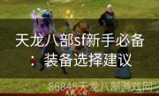 天龙八部sf新手必备：装备选择建议