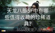 天龙八部SF中有哪些值得收藏的珍稀道具？