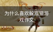 为什么喜欢躲猫猫游戏作文