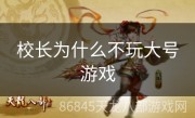 校长为什么不玩大号游戏