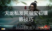 天龙私发网服宝石镶嵌技巧