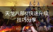 天龙八部sf快速升级技巧分享