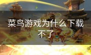 菜鸟游戏为什么下载不了