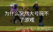 为什么突然大号玩不了游戏