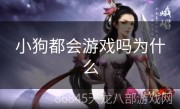 小狗都会游戏吗为什么