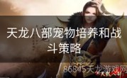 天龙八部宠物培养和战斗策略
