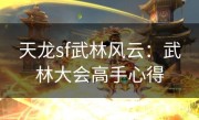 天龙sf武林风云：武林大会高手心得