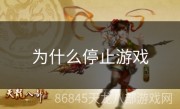 为什么停止游戏