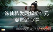 诛仙私发网解析：元婴觉醒心得