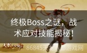 终极Boss之谜，战术应对技能揭秘！
