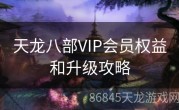 天龙八部VIP会员权益和升级攻略