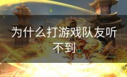 为什么打游戏队友听不到