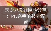 天龙八部sf经验分享：PK高手的技能配置