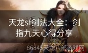 天龙sf剑法大全：剑指九天心得分享