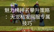 魅力榜排名攀升策略：天龙私发网服专属技巧