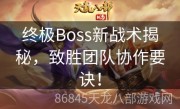 终极Boss新战术揭秘，致胜团队协作要诀！