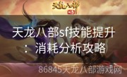 天龙八部sf技能提升：消耗分析攻略