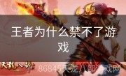 王者为什么禁不了游戏
