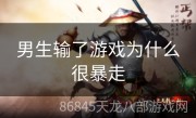 男生输了游戏为什么很暴走