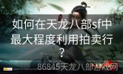 如何在天龙八部sf中最大程度利用拍卖行？