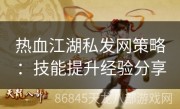 热血江湖私发网策略：技能提升经验分享