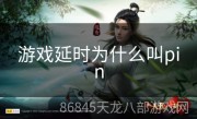 游戏延时为什么叫pin