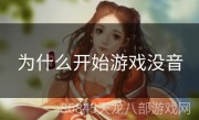 为什么开始游戏没音